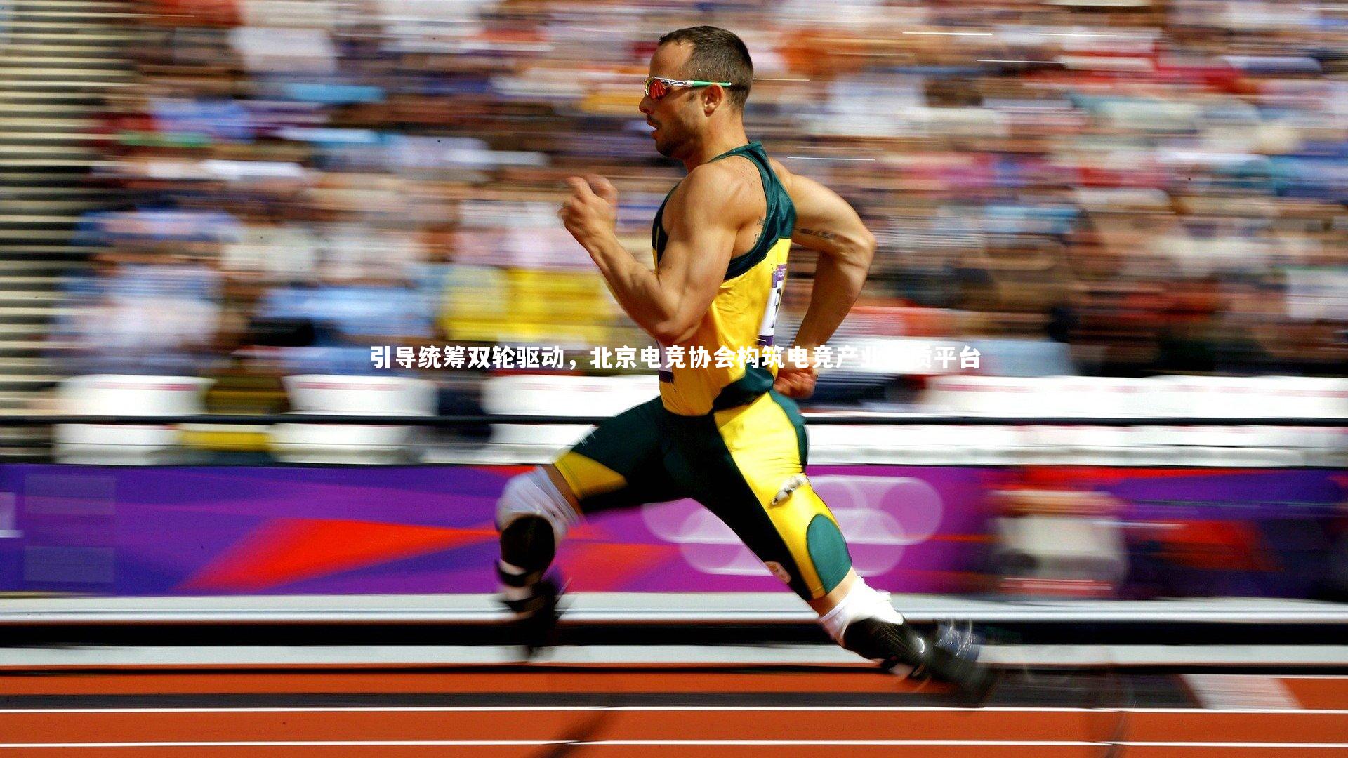 【友博体育网页版】引导统筹双轮驱动,北京电竞协会构筑电竞产业优质平台